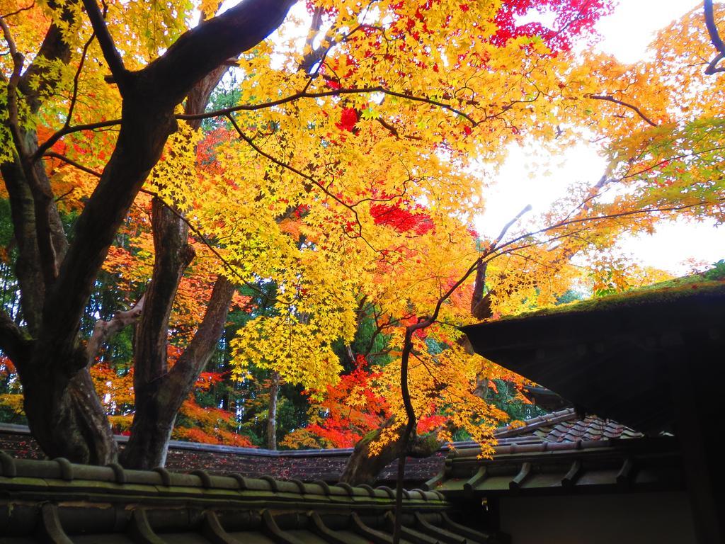 Murasakino Guesthouse Kyoto Dış mekan fotoğraf