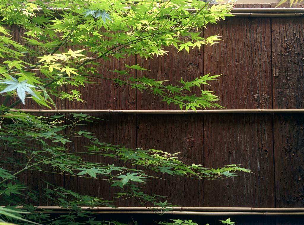 Murasakino Guesthouse Kyoto Dış mekan fotoğraf